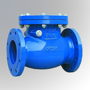Swing-Check-Valve